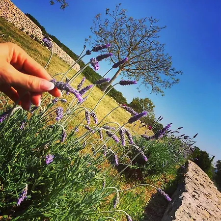 Trulli Panoramici Alojamento de Acomodação e Pequeno-almoço 2*