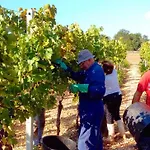 Trulli Panoramici 3*