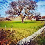 Trulli Panoramici Bed & Breakfast