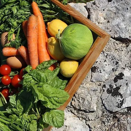 Trulli Panoramici Alberobello