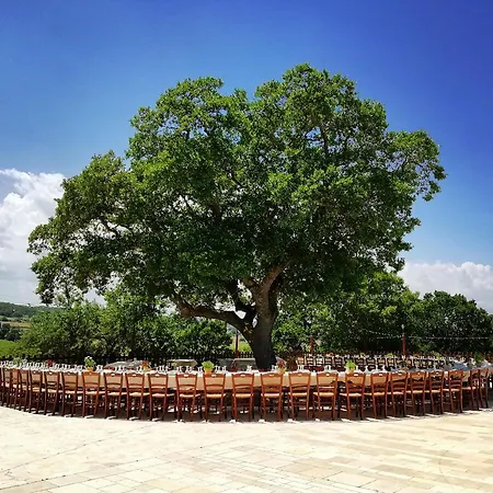 Trulli Panoramici