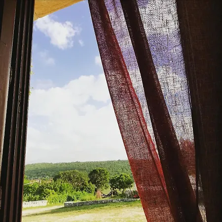 Trulli Panoramici Frühstückspension Alberobello